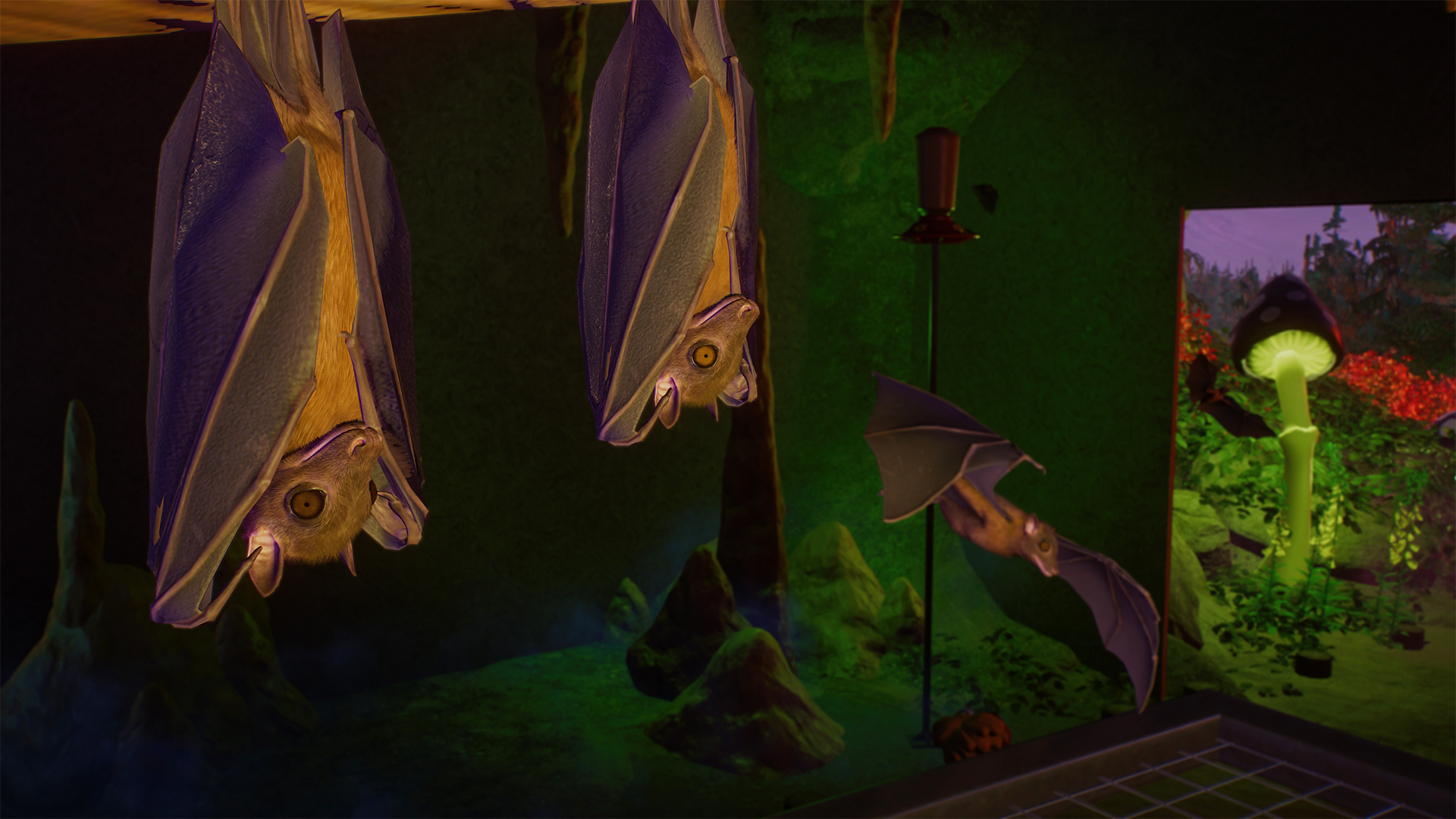 image for this item