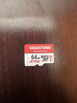 Solo per Switch 1]GIGASTONE Micro SD 256 GB Set da 2, Gaming Plus Serie, A1 U3 V30, Velocità Fino a 100/60 MB/s con Adattatore SD per Telefono Fotocamere Videocamera Tablet Gopro Nintendo