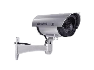 CCTV / Analog Cameras