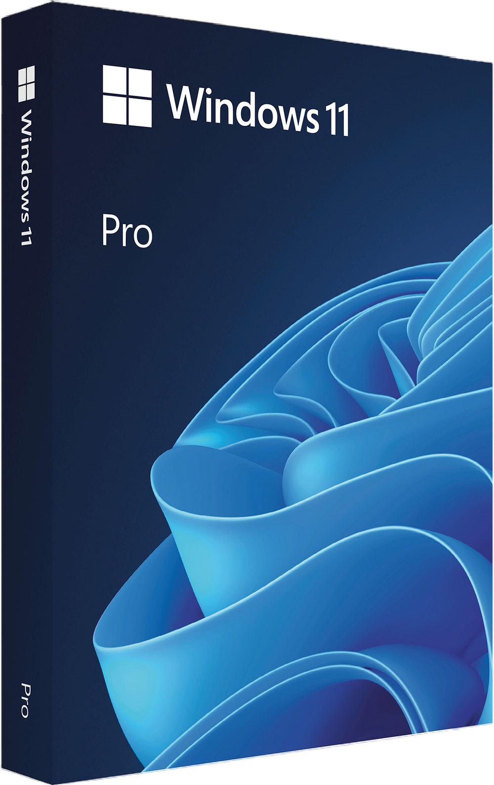 Microsoft Windows 11 Pro (USB)