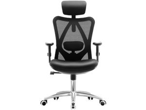 SIHOO High-Back Mesh Office Chair with Lumbar ...