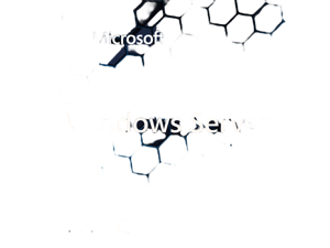 Microsoft Windows Server 2025 CAL - 5 User - OEM 