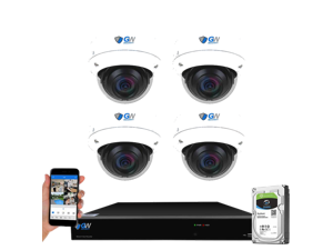 GW Security UltraHD 4K 8 Channel H.265+ NVR 8MP Security Camera System, 4 x 4K 8MP Outdoor/Indoor Dome PoE IP Cameras, Smart AI Face Recognition Human/Vehicle Detection, 2TB HDD GW Security UltraHD 4K 8 Channel H.265+ NVR 8MP Security Camera System, 4 x 4K 8MP Outdoor/Indoor Dome PoE IP Cameras, Smart AI Face Recognition Human/Vehicle Detection, 2TB HDD