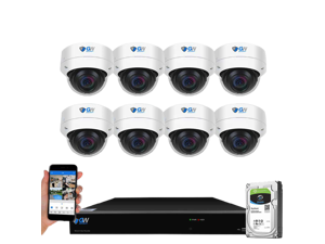 GW Security UltraHD 4K 8 Channel H.265+ NVR 8MP Security Camera System, 8 x 4K 8MP Outdoor/Indoor Dome PoE IP Cameras, Smart AI Face Recognition Human/Vehicle Detection, 2TB HDD GW Security UltraHD 4K 8 Channel H.265+ NVR 8MP Security Camera System, 8 x 4K 8MP Outdoor/Indoor Dome PoE IP Cameras, Smart AI Face Recognition Human/Vehicle Detection, 2TB HDD