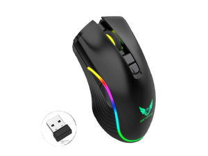 Ludus Dominum Rechargeable Wireless Gaming Mouse,large-size ,Ergonomic Hand Grips,4800 DPI,TYPE-C Fast charge,7 Buttons,Fast-Charging,10 millons buttons life,RGB Gamer Desk Laptop PC Gaming Mouse