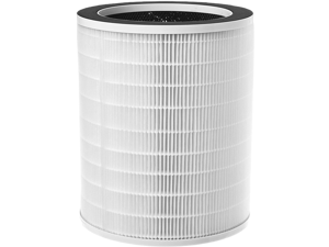 Compass Home Air Purifier Replacement Filter - H13 HEPA Filter Refill Compatible with Model DGZ9029G Large Room Air Purifier
