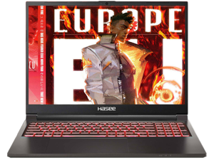 Hasee TX (16'', i9-13900HX, RTX4060), Gaming Laptop, i9-1390...