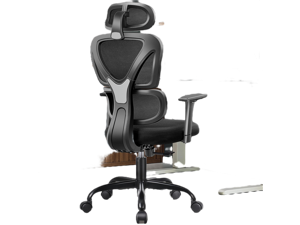 Coolhut Ergonomic Office Chair, High Back Adjustable Computer Desk Chair with Lumbar Support, 300lb, Black