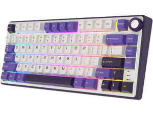 RK ROYAL KLUDGE R75 Mechanical Keyboard Wired with Volumn Knob 75% TKL Custom Gaming Keyboard Gasket Mount RGB Backlit with Software MDA Profile Hot Swappable PBT Keycaps Keyboard Purple