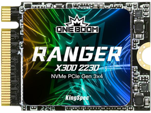 ONEBOOM X300 2230 512GB M.2 NVMe PCIe 3.0 Gaming ...