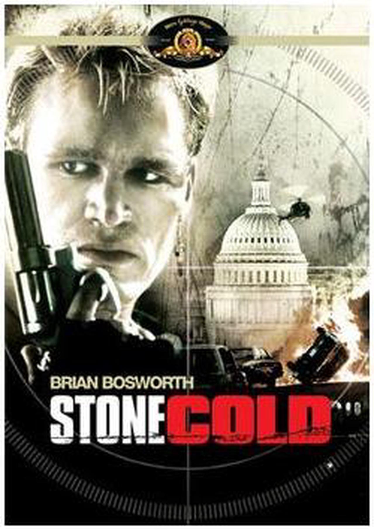 Main image of Stone Cold Brian Bosworth, Lance Henriksen, William Forsythe, Arabella Holzbog, Sam McMurray, Richard E. Gant, Paulo Tocha, David Tress