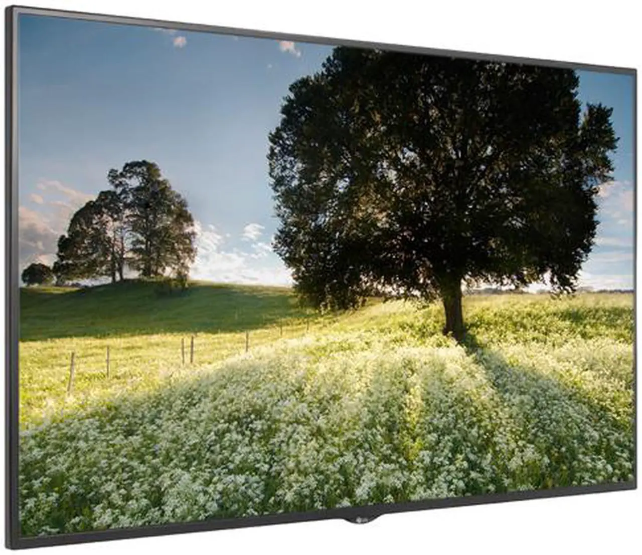 Alt view image 3 of 6 - LG 65UH5C-B 65" 4K Ultra HD Commercial Display, Immersive Screen with Smart Platform, Quad Core SoC, WebOS 3.0
