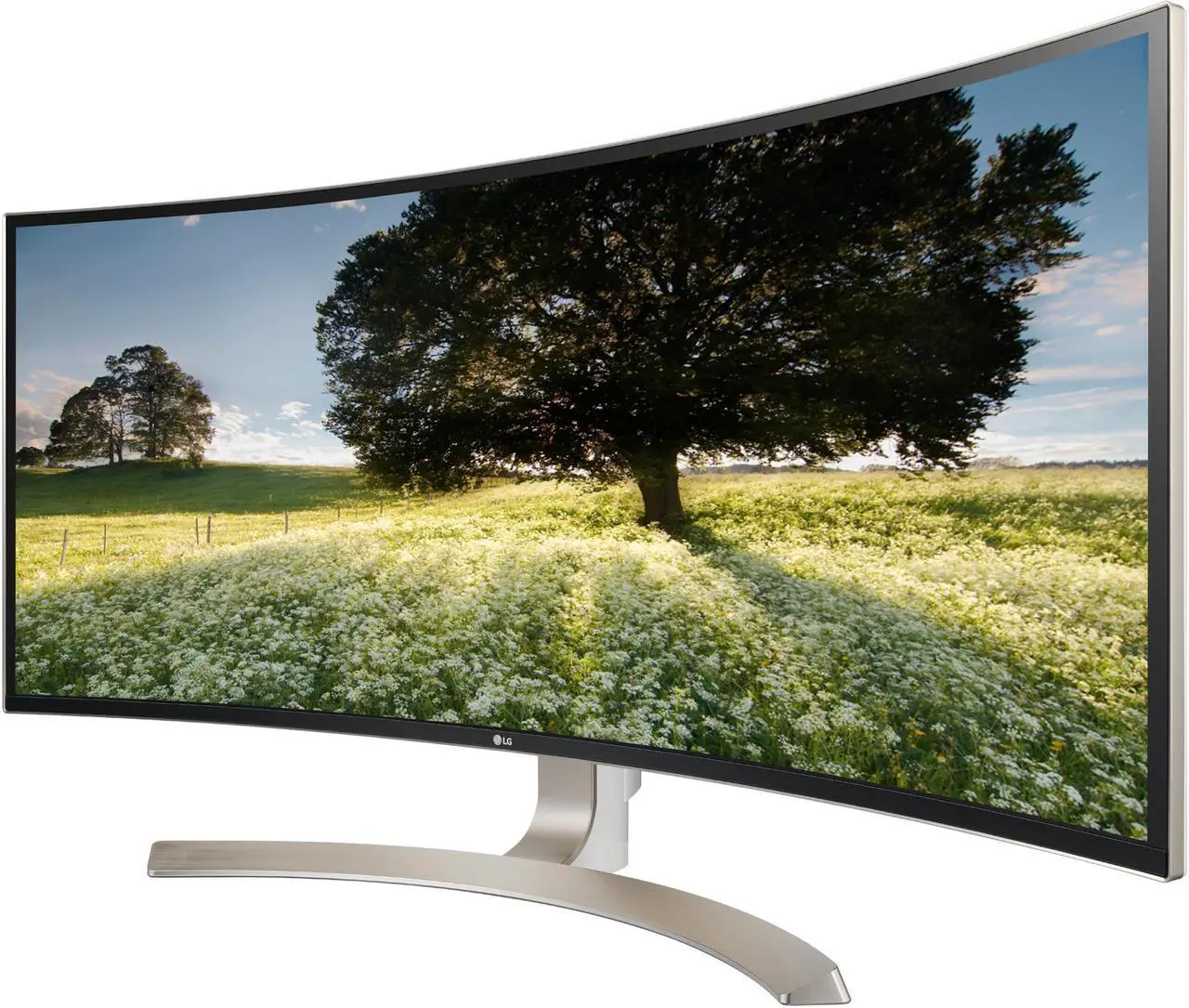 Main image of LG 38" IPS Monitor AMD FreeSync HDMI, DisplayPort, USB 38CB99-W
