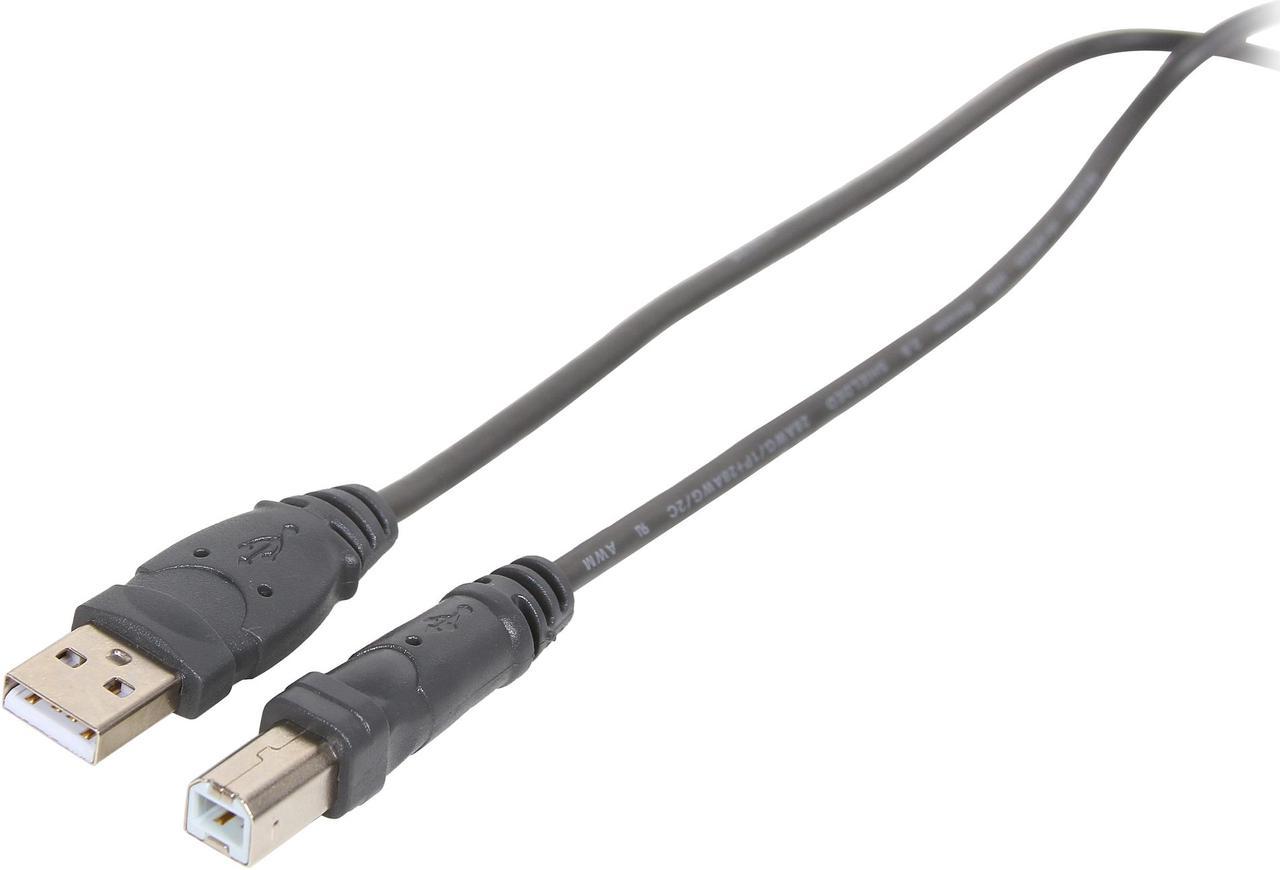 Belkin F3U133b06 Black Hi-Speed USB 2.0 Cable