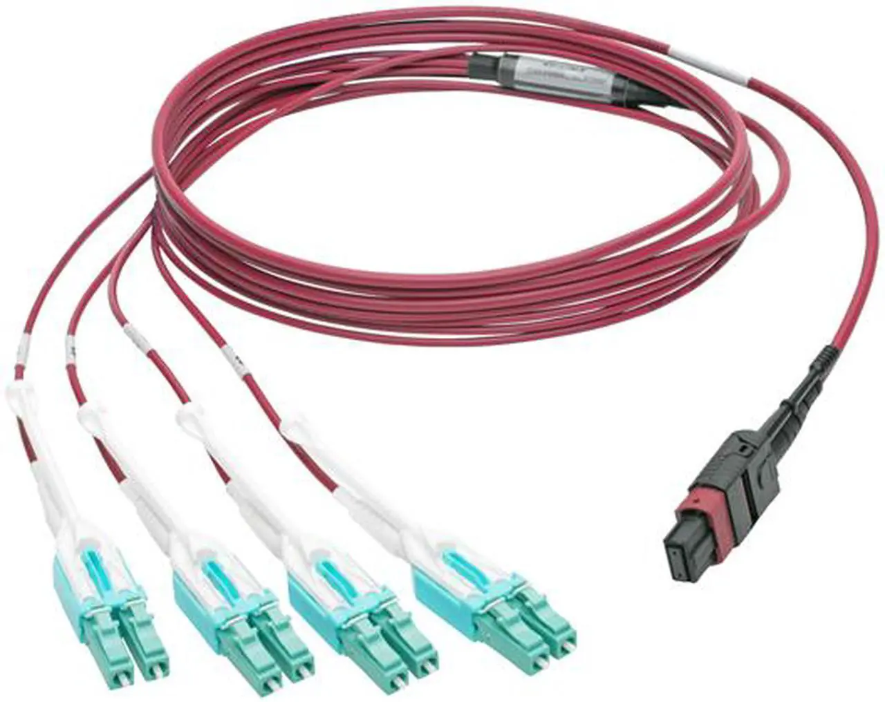 Alt view image 2 of 8 - Tripp Lite MTP/MPO to 8xLC Fan-Out Patch Cable, 40 GbE, 40GBASE-SR4, OM4 Plenum-Rated, Push/Pull Tab, Magenta, 3 m (9.8 ft.) (N845-03M-8L-MG)