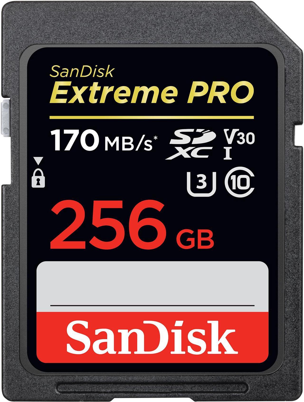 SanDisk 256GB Extreme Pro SDXC UHS-I/U3 V30 Class 10 Memory Card, Speed Up to 170MB/s (SDSDXXY-256G-GN4IN)