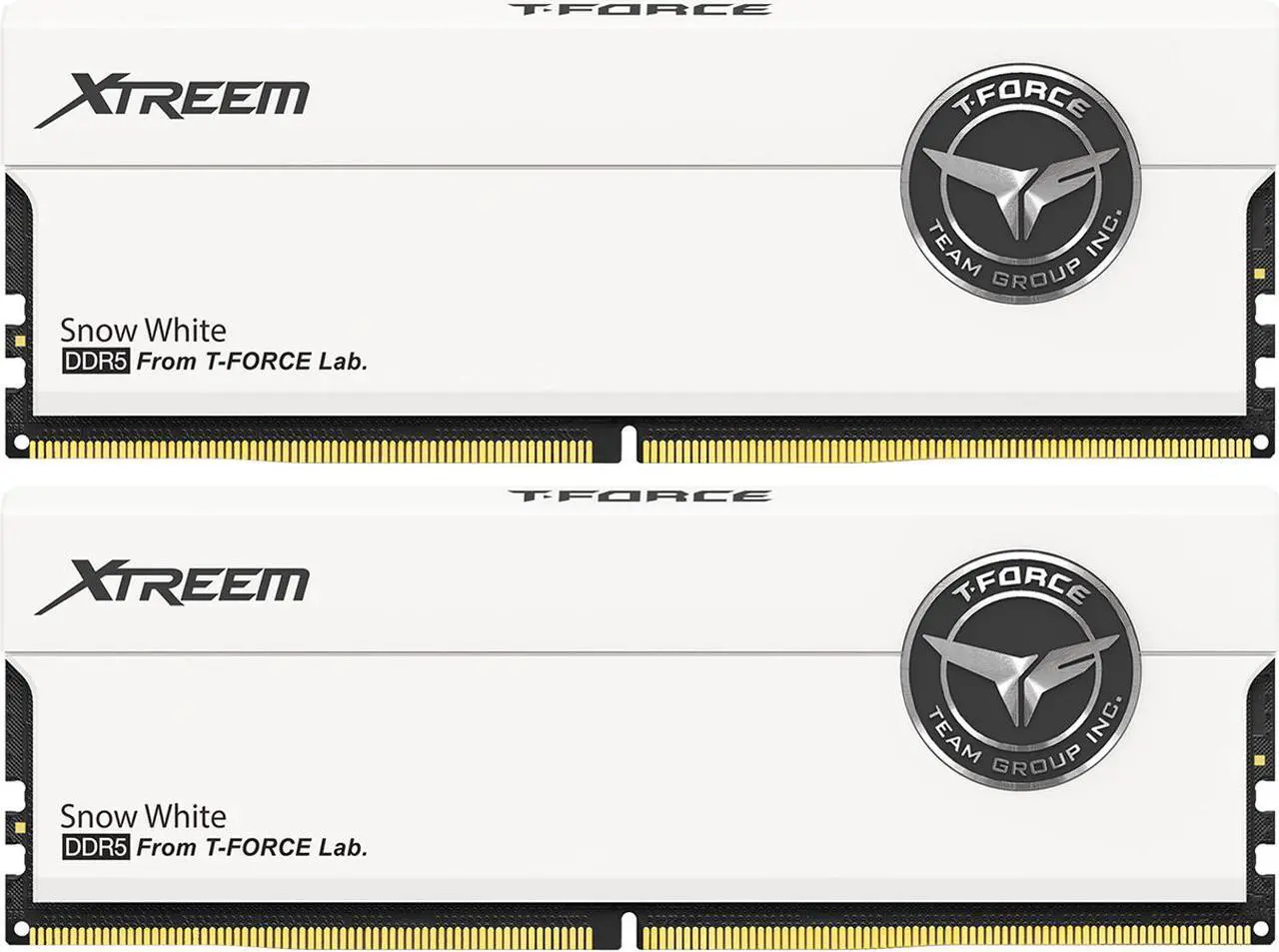 Main image of Team Xtreem 32GB (2 x 16GB) 288-Pin PC RAM DDR5 8000 (PC5 64000) Desktop Memory Model FFWD532G8000HC38DDC01