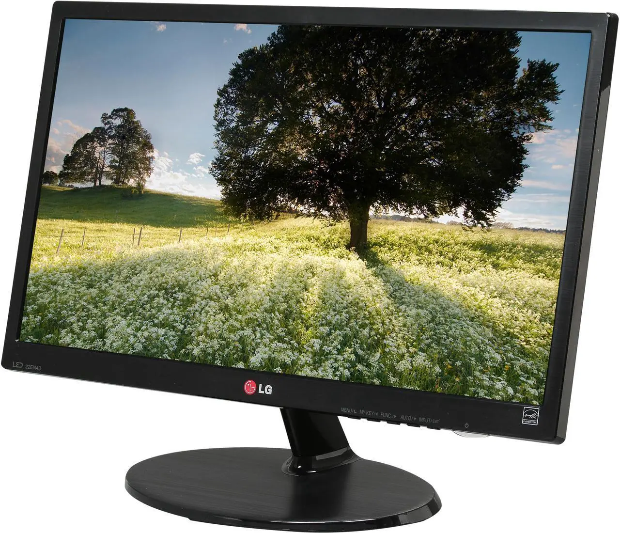 Main image of LG 21.5" TN LCD Monitor 5 ms D-Sub, DVI 22EN43T-B