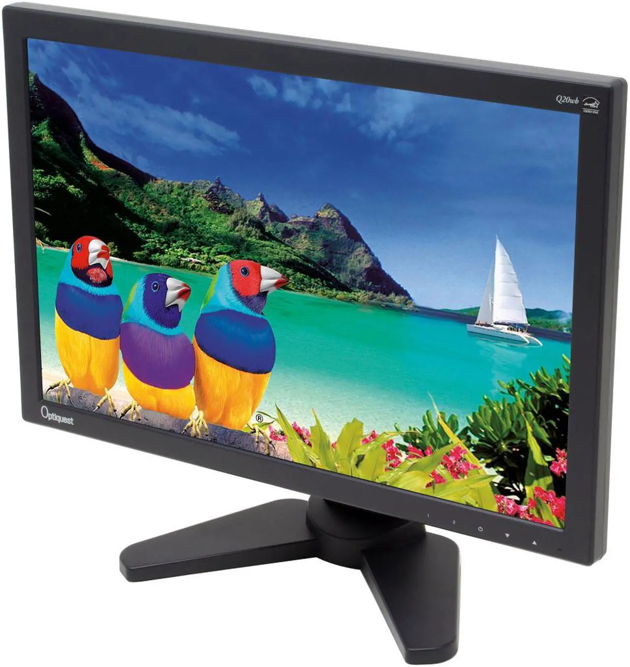 Main image of ViewSonic 20" Active Matrix, TFT LCD WSXGA LCD Monitor 5 ms D-Sub, DVI-D Optiquest Series Q20WB