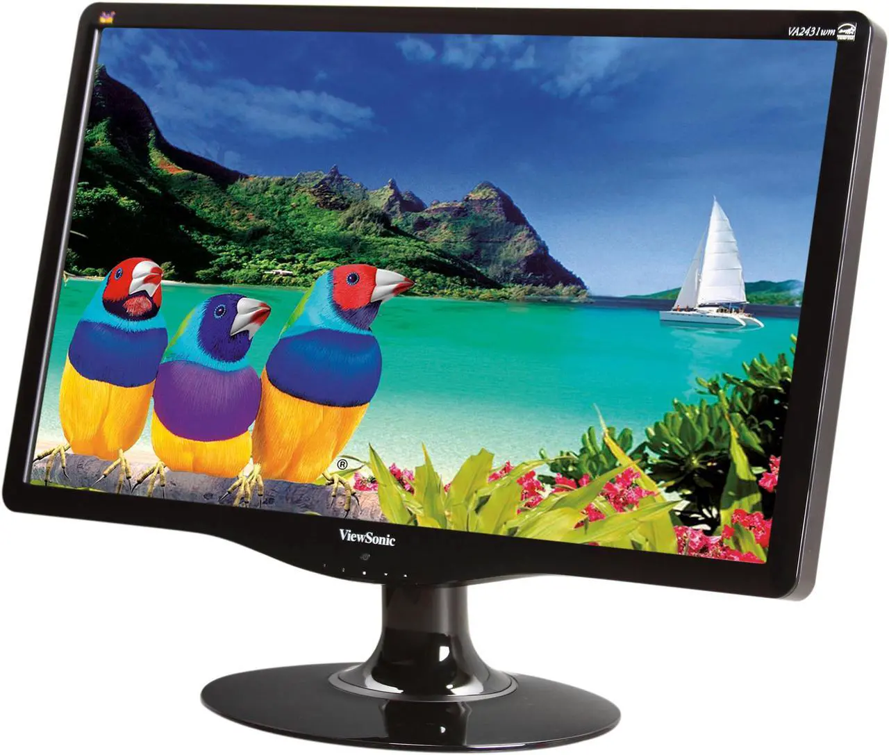Main image of ViewSonic 23.6" Active Matrix, TFT LCD Full HD 1080P LCD Monitor Built-in Speakers 5 ms D-Sub, DVI-D VA2431WM