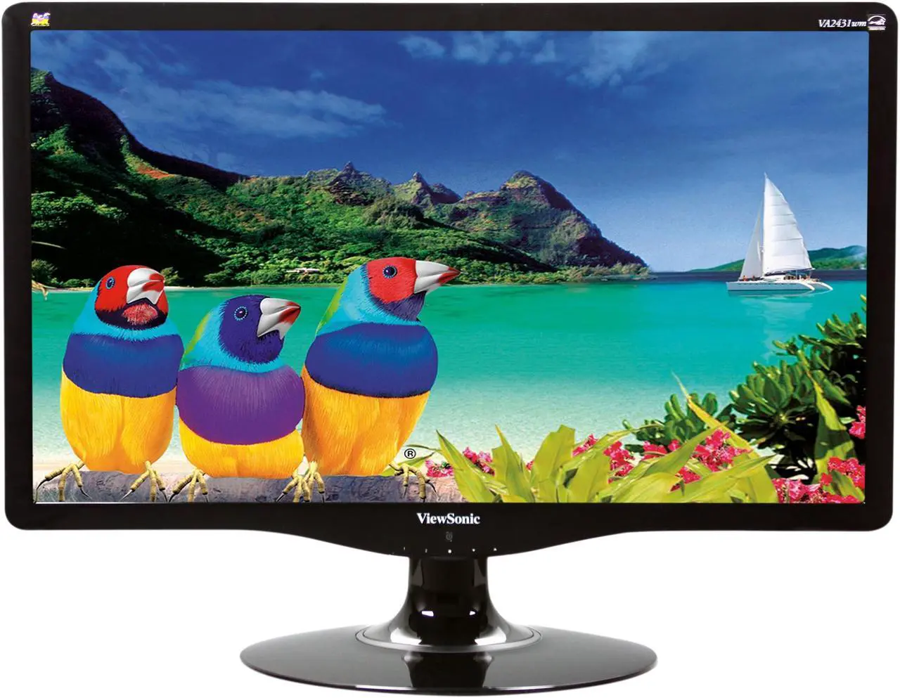 Alt view image 2 of 8 - ViewSonic 23.6" Active Matrix, TFT LCD Full HD 1080P LCD Monitor Built-in Speakers 5 ms D-Sub, DVI-D VA2431WM