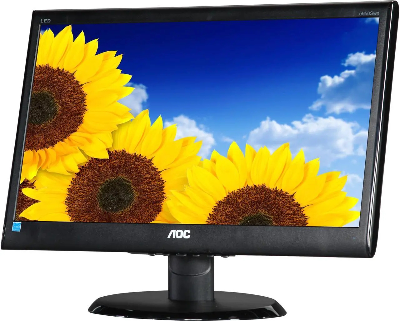Main image of AOC 18.5" 60 Hz TFT LCD LCD Monitor 5 ms D-Sub e950Swn