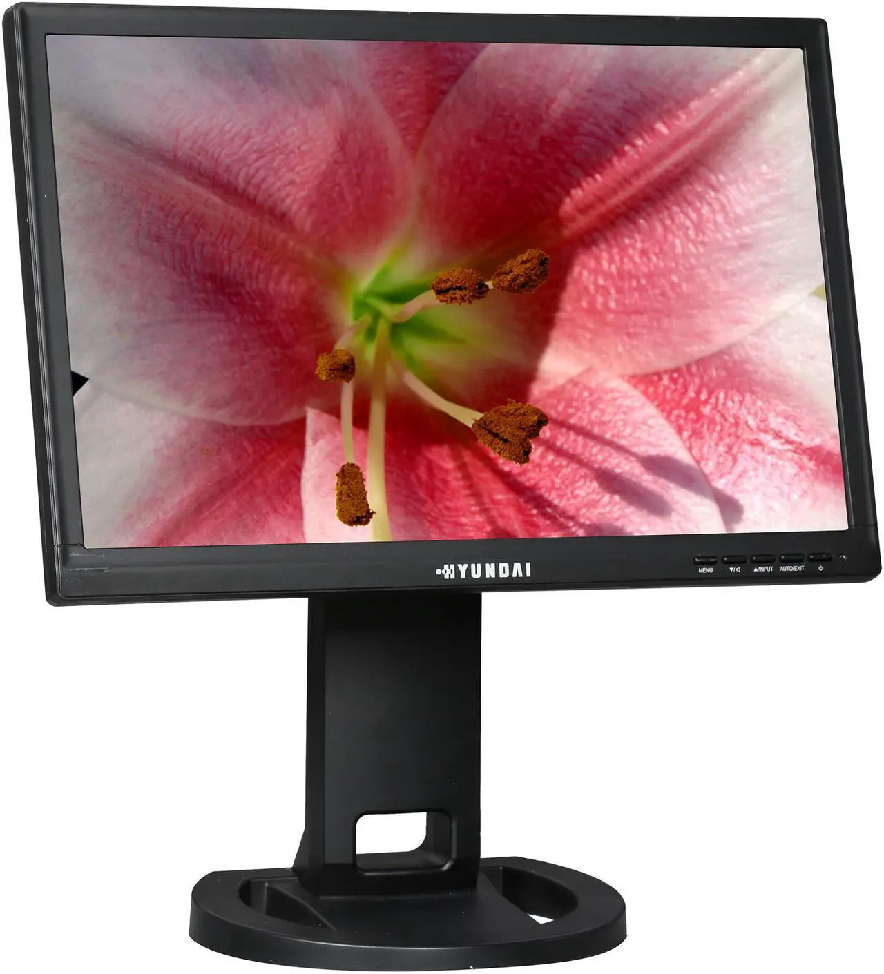 Alt view image 3 of 10 - Hyundai P90WU-K 19" Widescreen LCD Monitor w/ Speakers & USB Hub, Pivot, Swivel and Tilt
