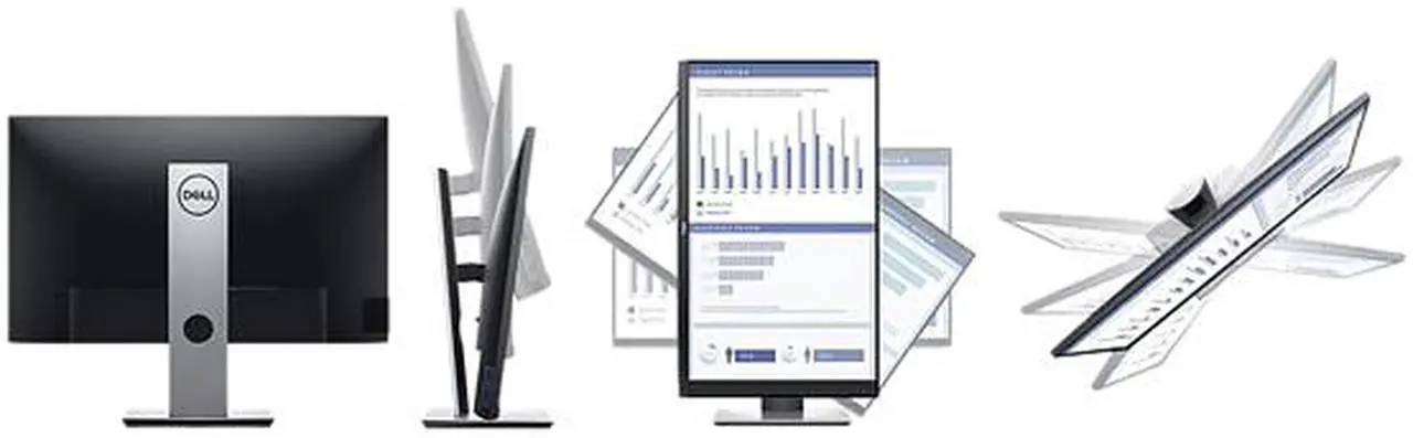 Alt view image 5 of 6 - DELL P2419H 24" 1920 x 1080 Full HD, DisplayPort, HDMI, VGA, USB Hub, Anti-Glare, LED Backlit, Height Adjustable IPS Monitor
