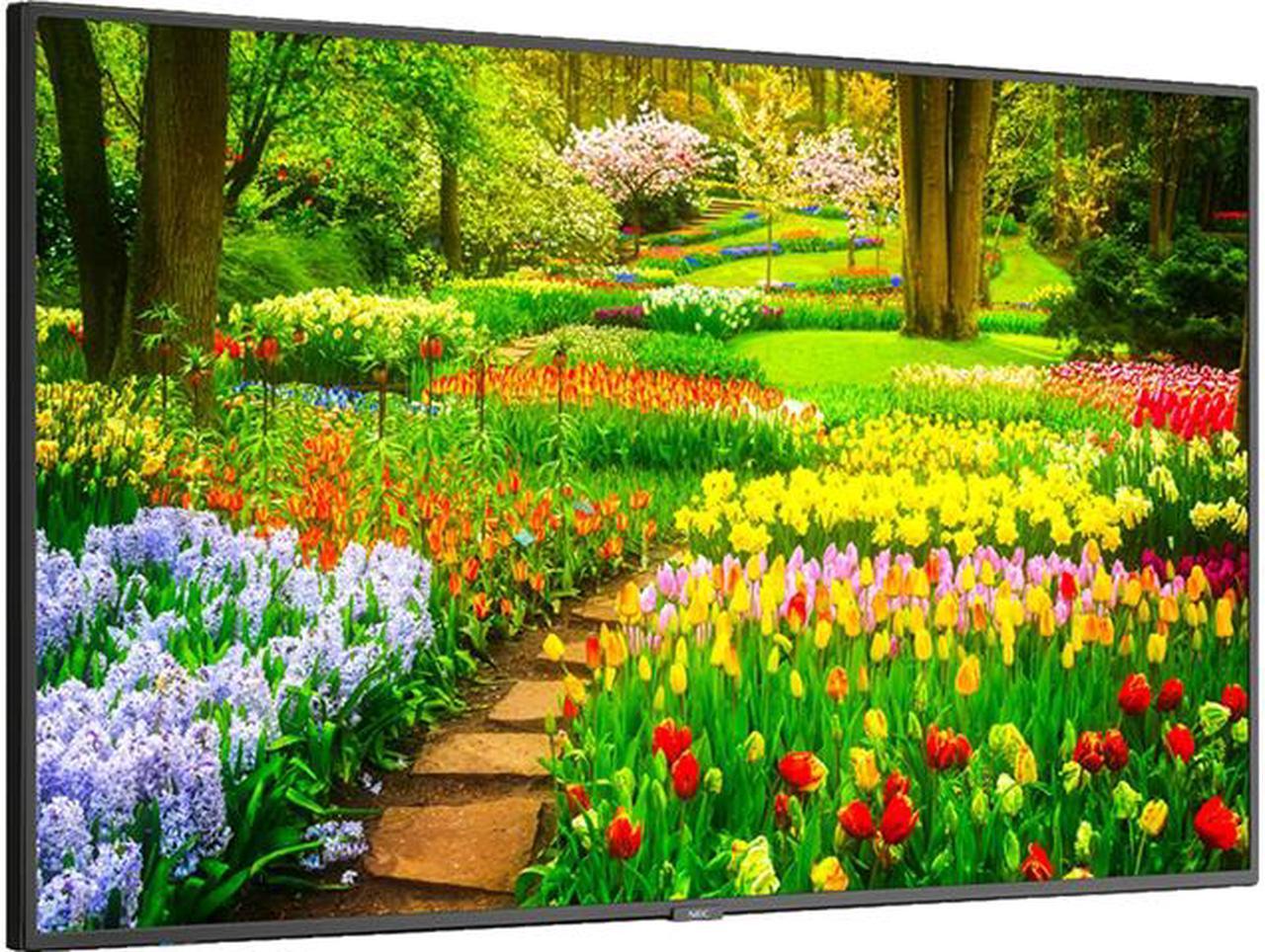 NEC Display Solutions M491 Black 49" 8ms 3840 x 2160 (4K) 1.07 Billion Colors LED LCD, UHD, High Haze, 24/7, 500nits, HDMI x2, DP x1, Accepts SDM-S or L, Full External Control, Rpi Compatible