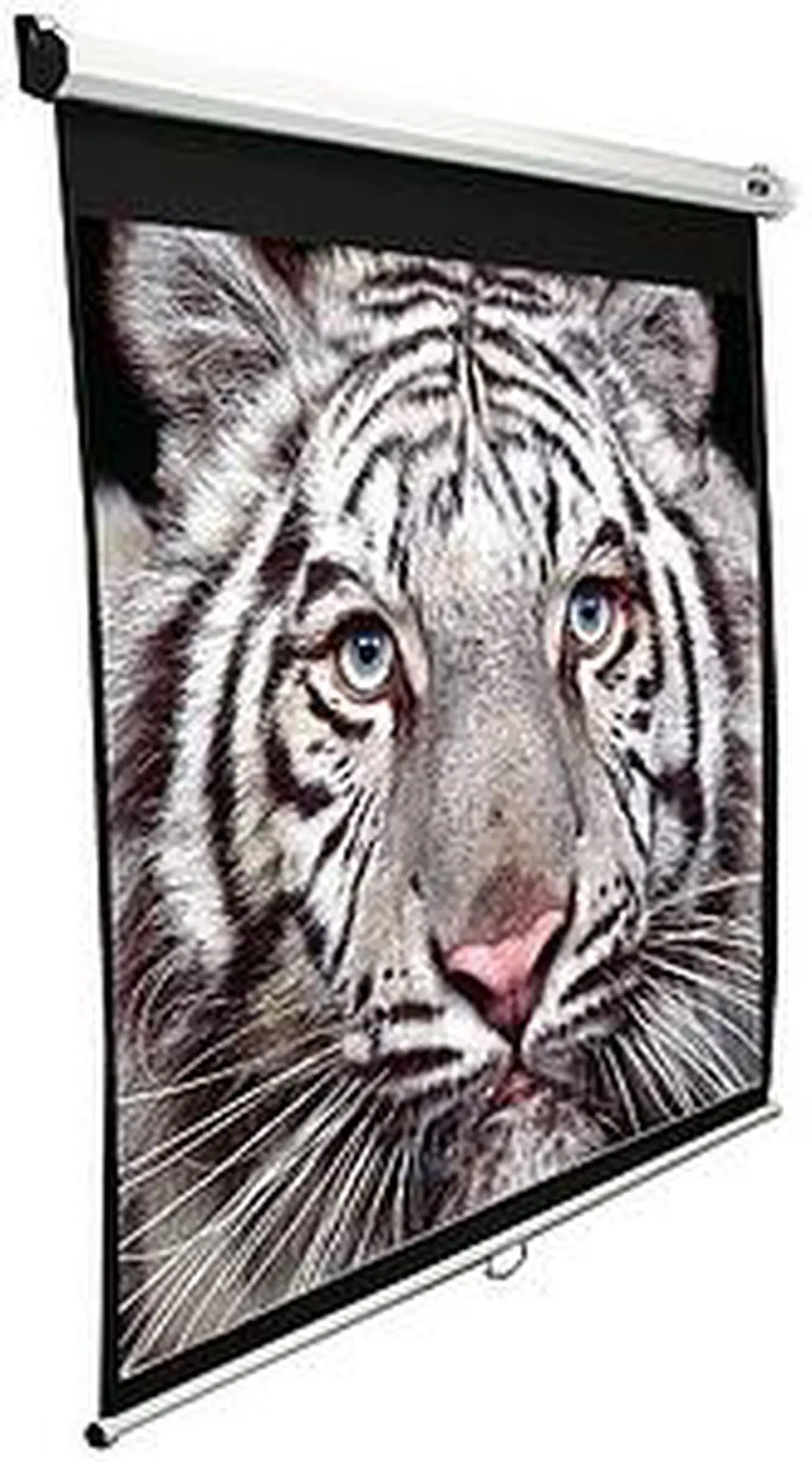 Main image of Elitescreens 135" HDTV(16:9) Manual 135" (16:9) Manual Projection Screen M135XWH