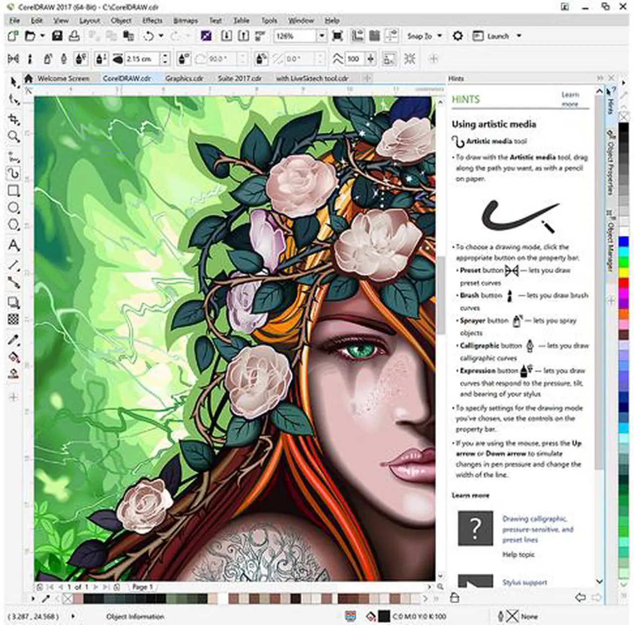 Alt view image 8 of 9 - CorelDRAW Graphics Suite 2017
