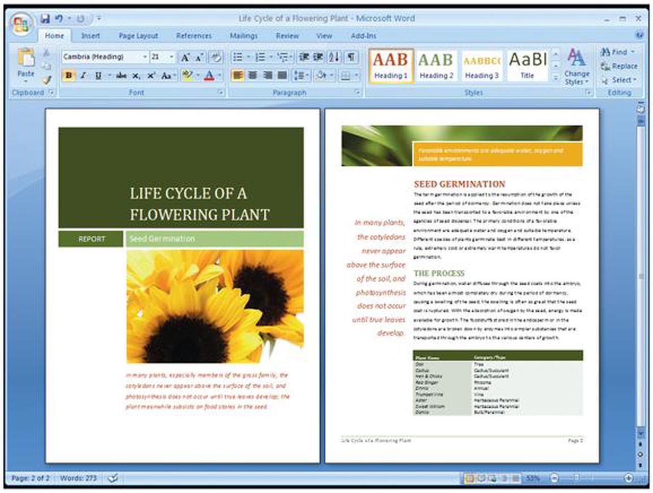 Alt view image 5 of 5 - Microsoft Office Home and Student 2007 Licensed for 3 PCs