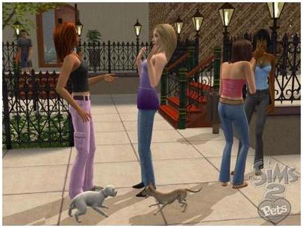 Alt view image 3 of 20 - Sims 2 Pets PC Game