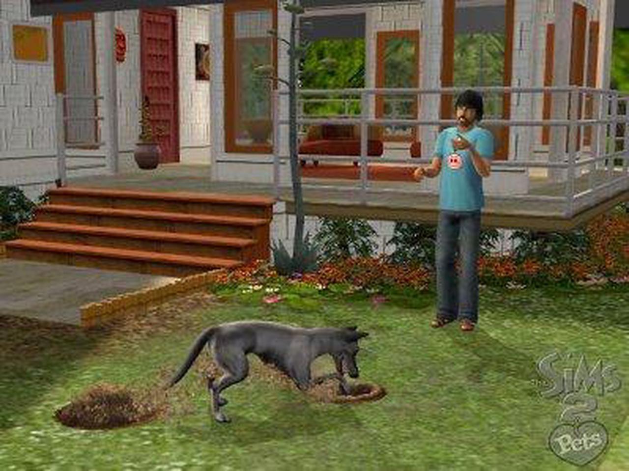 Alt view image 12 of 20 - Sims 2 Pets PC Game