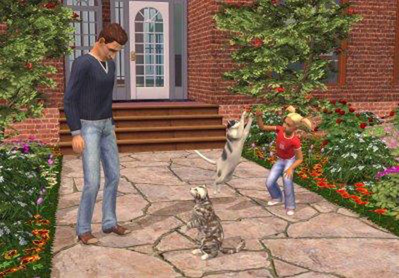 Alt view image 13 of 20 - Sims 2 Pets PC Game