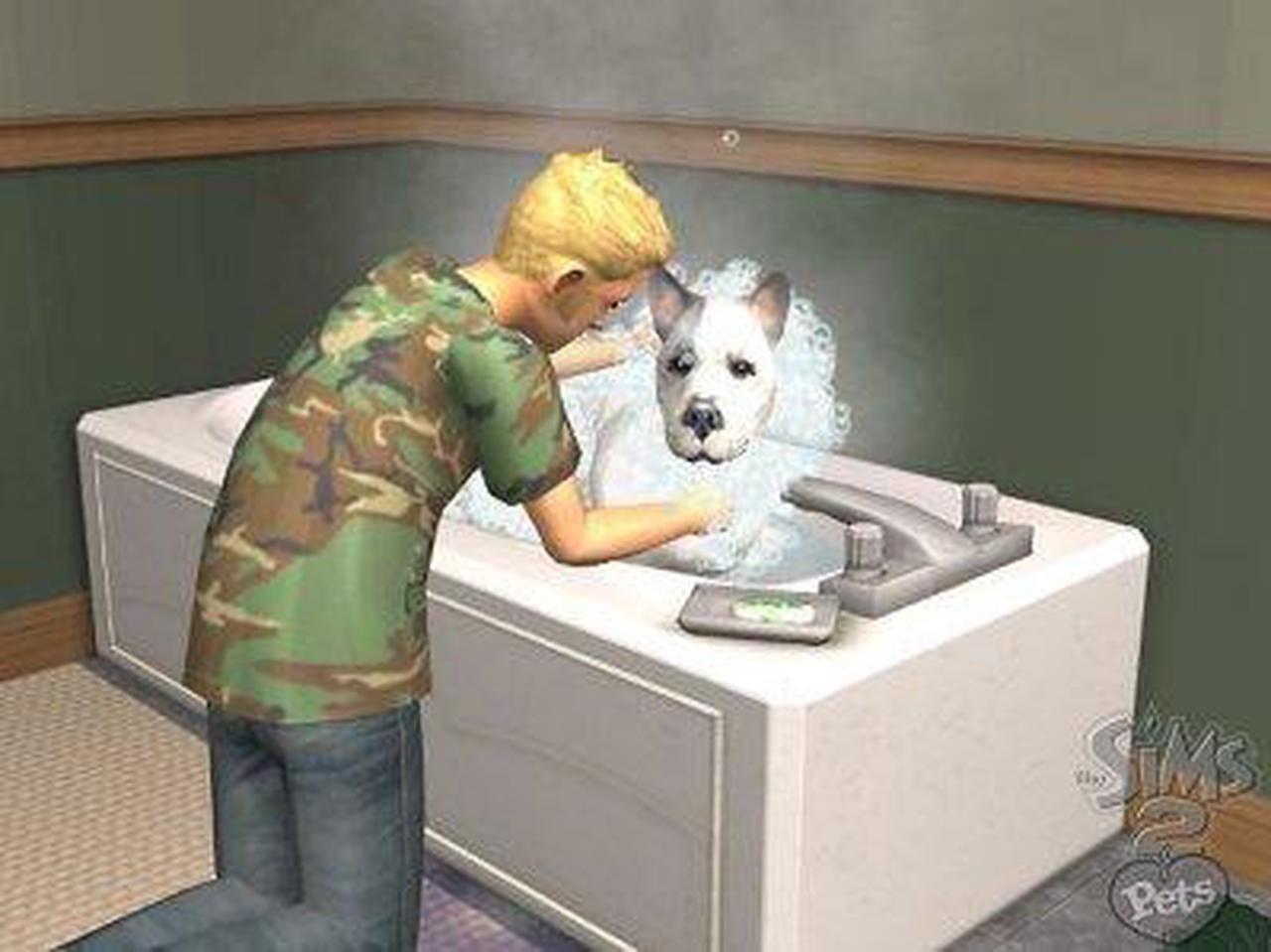 Alt view image 14 of 20 - Sims 2 Pets PC Game