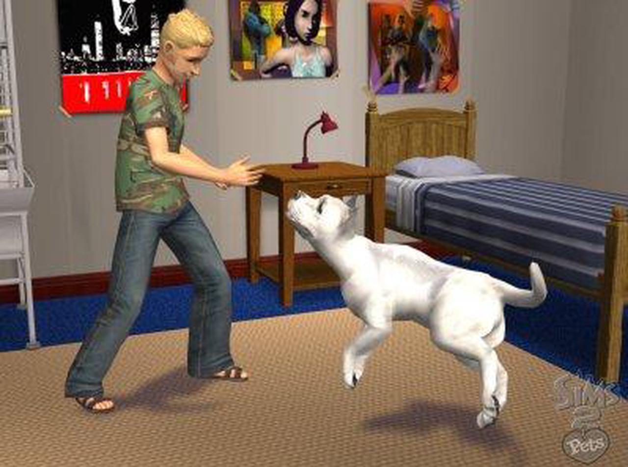 Alt view image 16 of 20 - Sims 2 Pets PC Game