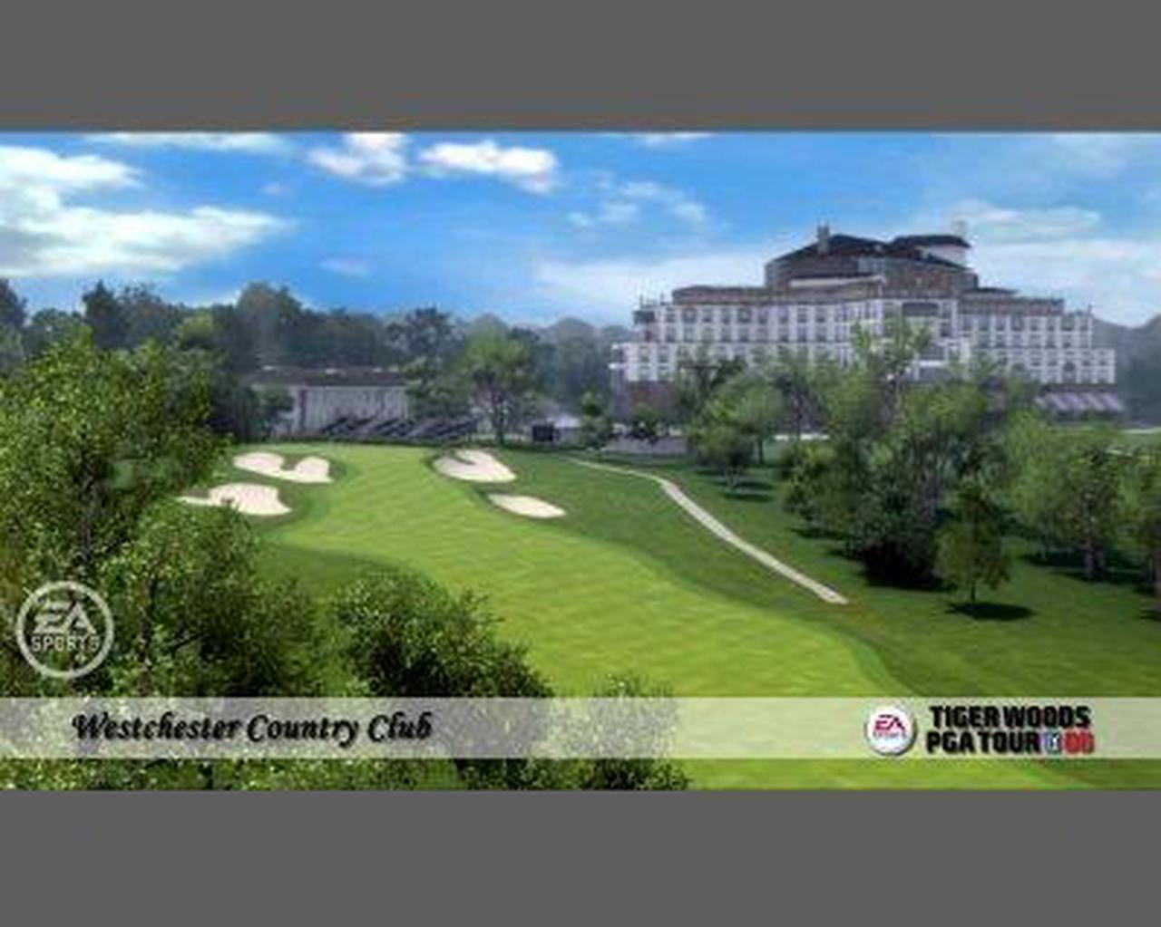 Alt view image 3 of 7 - Tiger Woods PGA Tour 08 PC Game