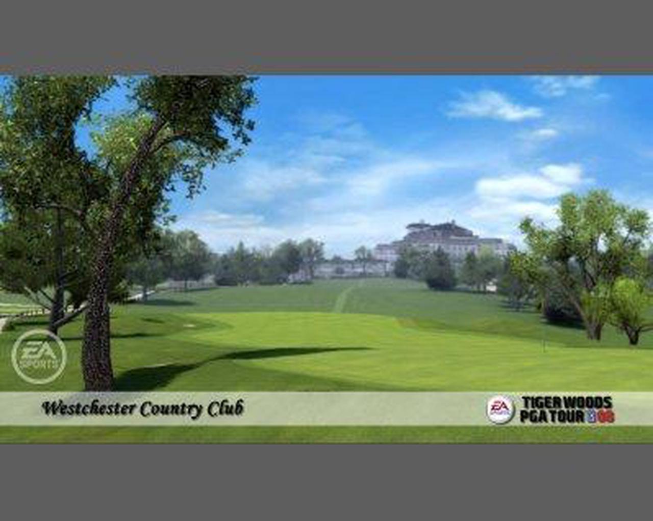 Alt view image 4 of 7 - Tiger Woods PGA Tour 08 PC Game