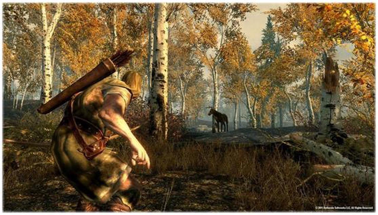 Alt view image 3 of 9 - Elder Scrolls V: Skyrim PC Game