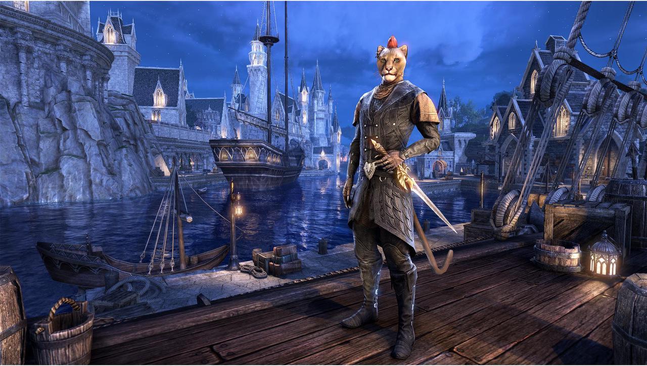Alt view image 4 of 6 - The Elder Scrolls Online: Summerset - PC