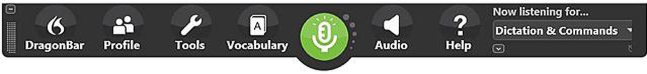 Alt view image 7 of 7 - Dragon Naturally Speaking Premium 13