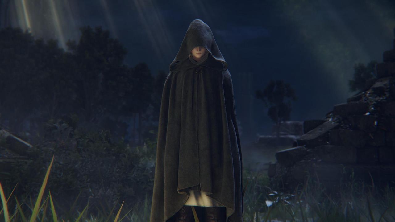Alt view image 7 of 20 - ELDEN RING - PC [Steam Online Game Code]