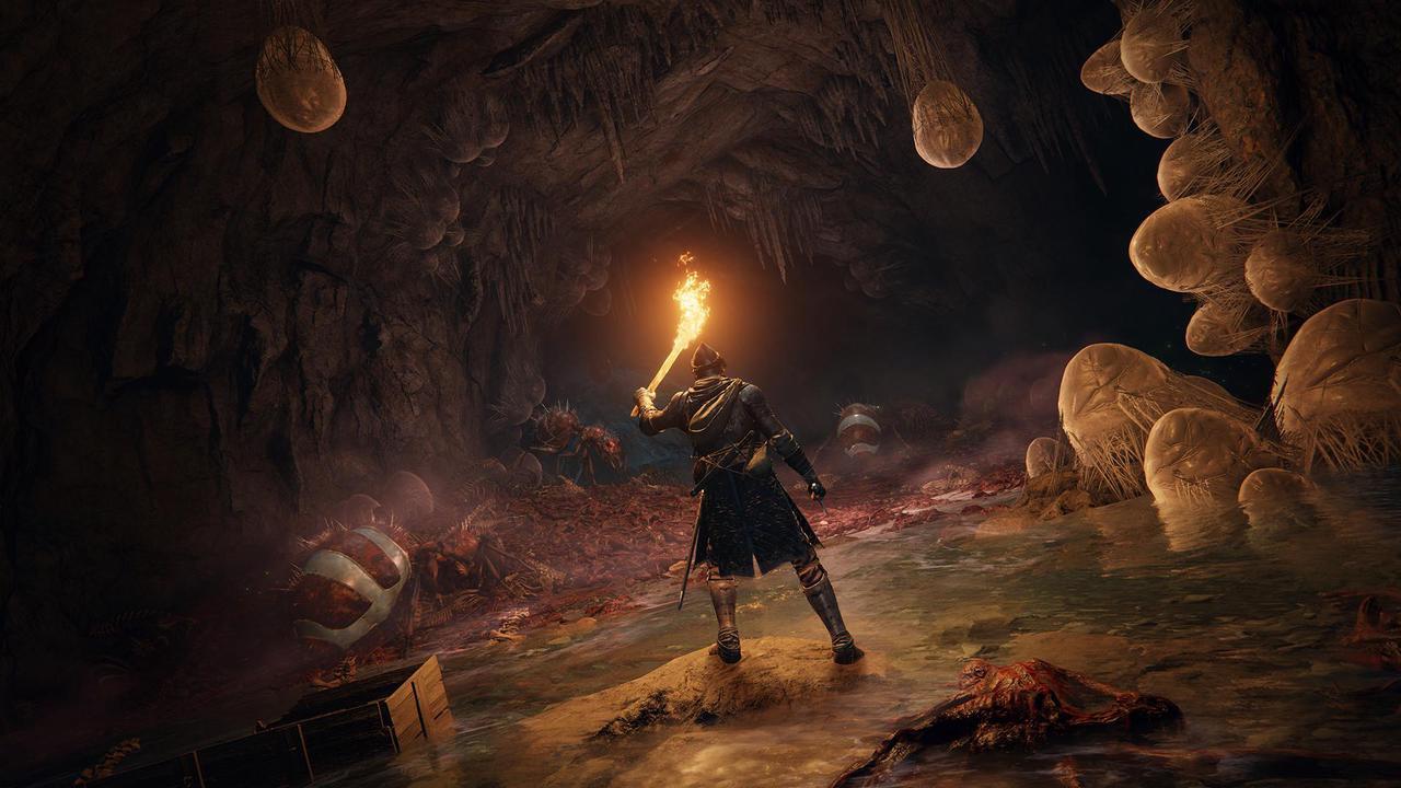 Alt view image 14 of 20 - ELDEN RING - PC [Steam Online Game Code]