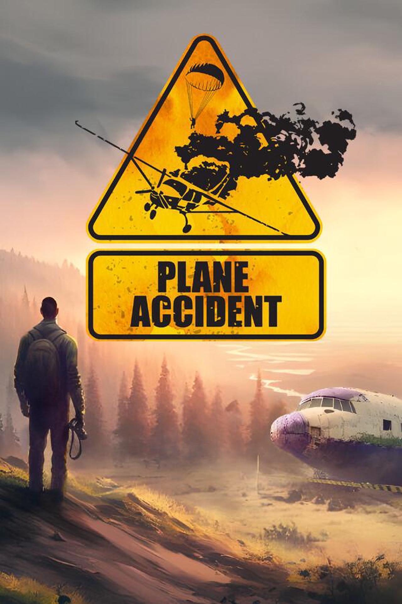 Main image of Plane Accident - PC [Steam Online Game Code]