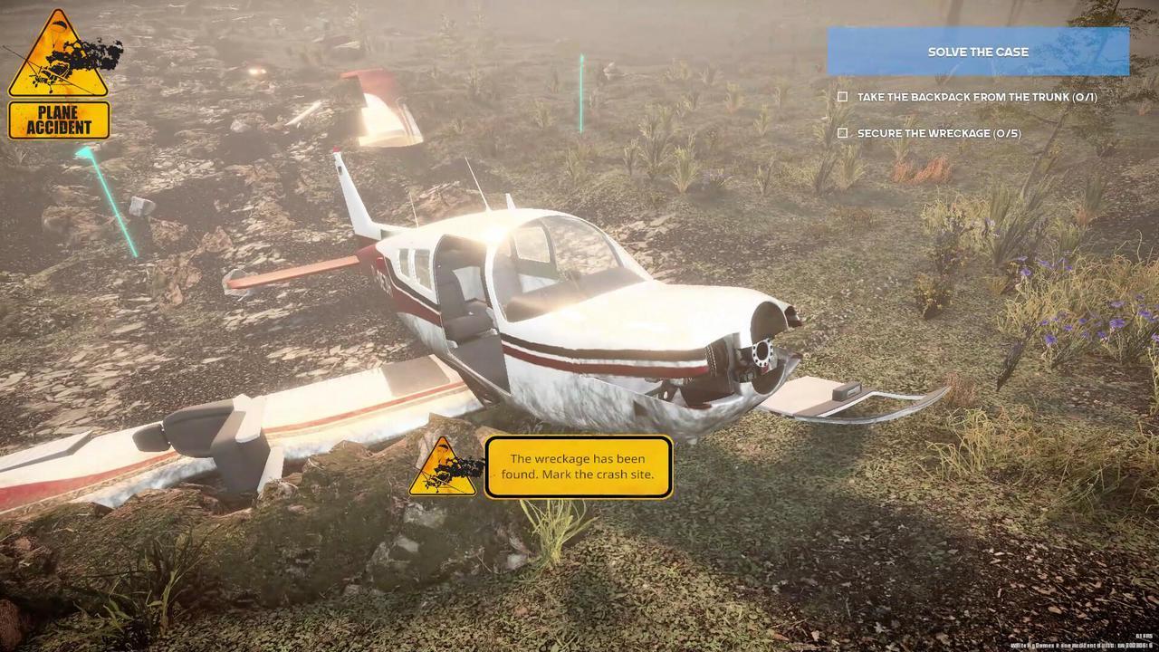 Alt view image 6 of 13 - Plane Accident - PC [Steam Online Game Code]