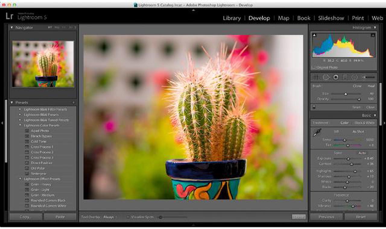 Alt view image 3 of 6 - Adobe Photoshop Lightroom 5 for Windows & Mac - Full Version