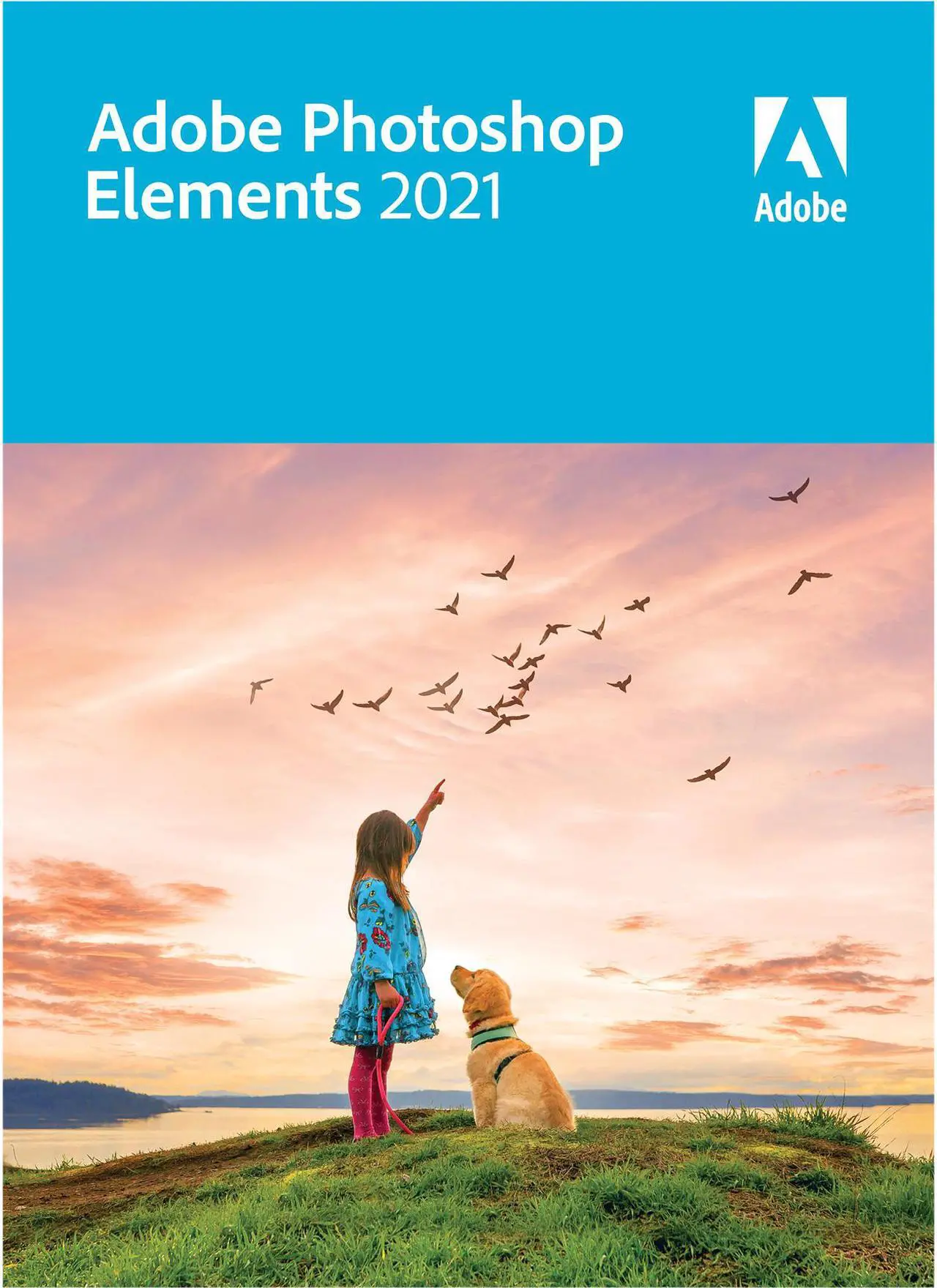Main image of Adobe Photoshop Elements 2021 for Windows - Download