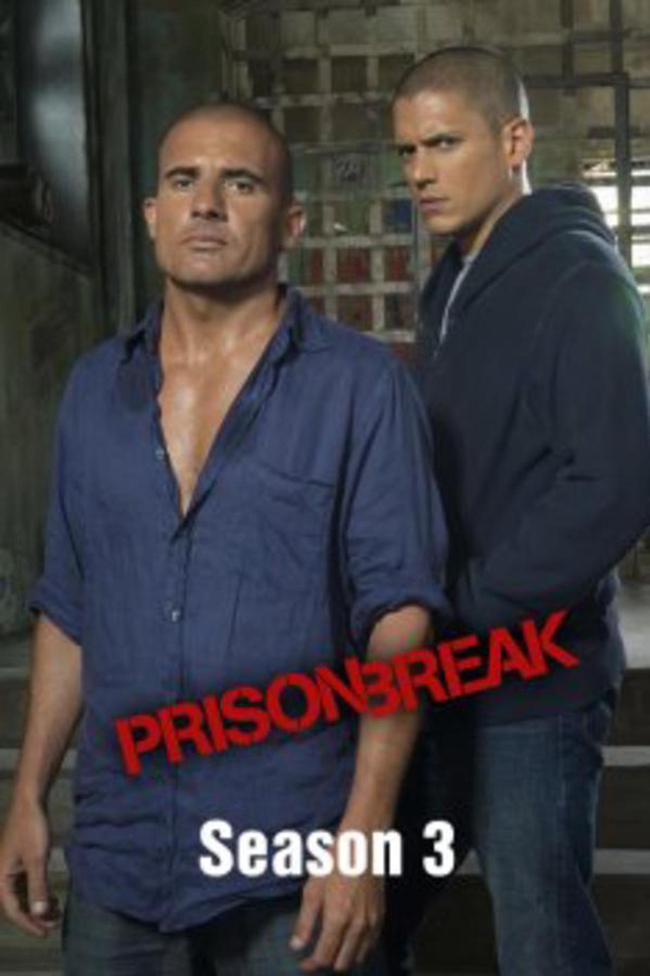 Main image of Prison Break: Season 3 Episode 10 - Dirt Nap [SD] [Buy]