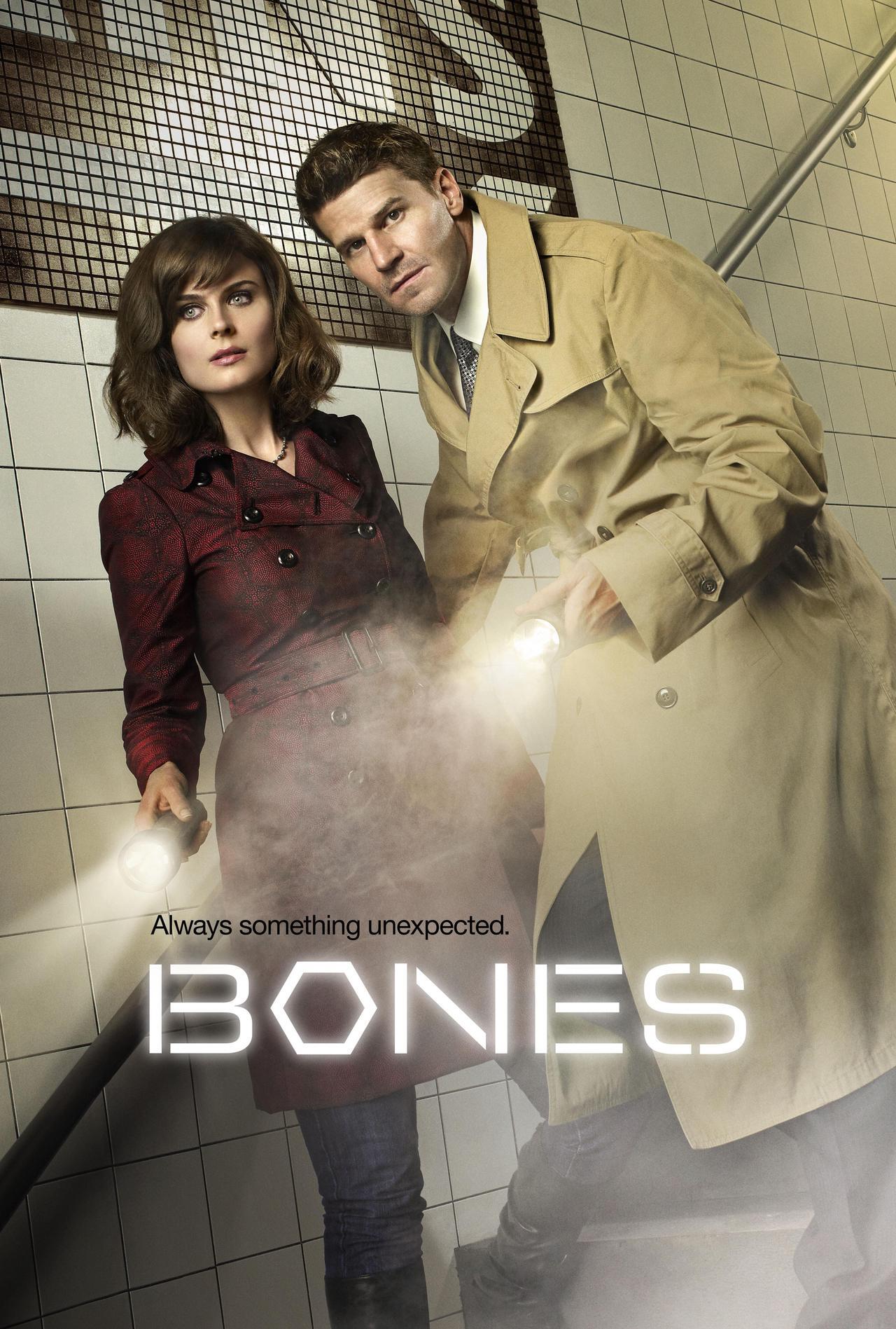 Main image of Bones: Season 7 Episode 4 - The Male in the Mail [HD] [Buy]